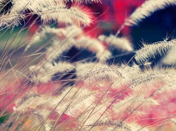 一个人好苦的说说（形容一个人日子苦的说说）(图1)