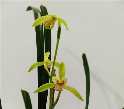 一句话致自己短句（几句话,致自己!）(图1)