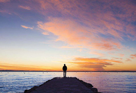 一个叫欧维的男人格言（一个叫欧维的男人格言是什么）(图1)