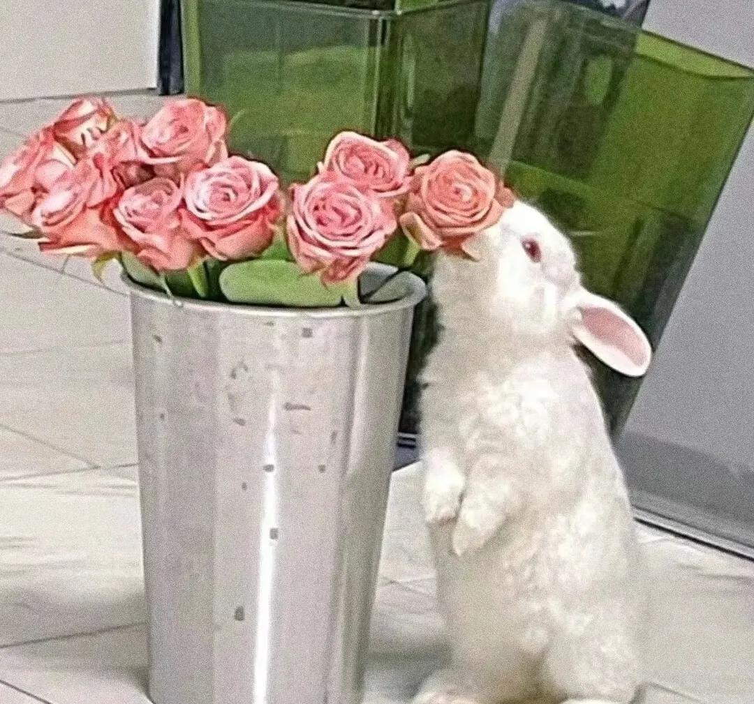 艺术家的励志名言(图1)