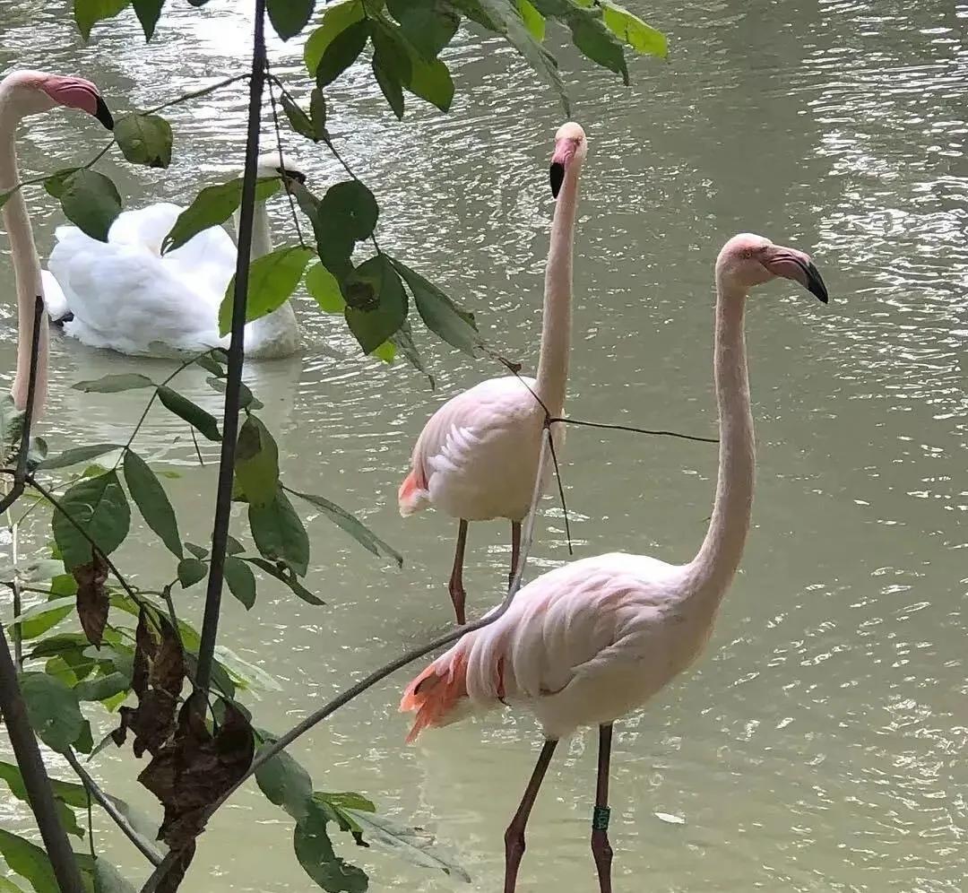 艺术家的励志名言(图2)