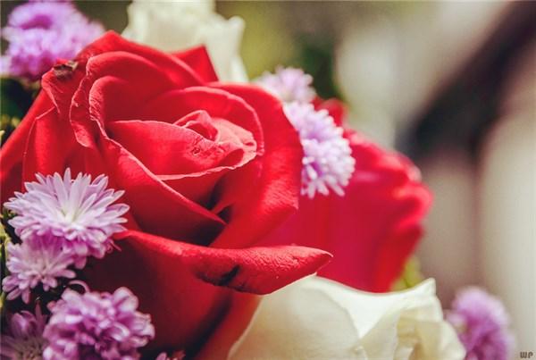 认真选择，笑对坎坷，定准目标，勇敢拼搏，共勉，早安(图3)