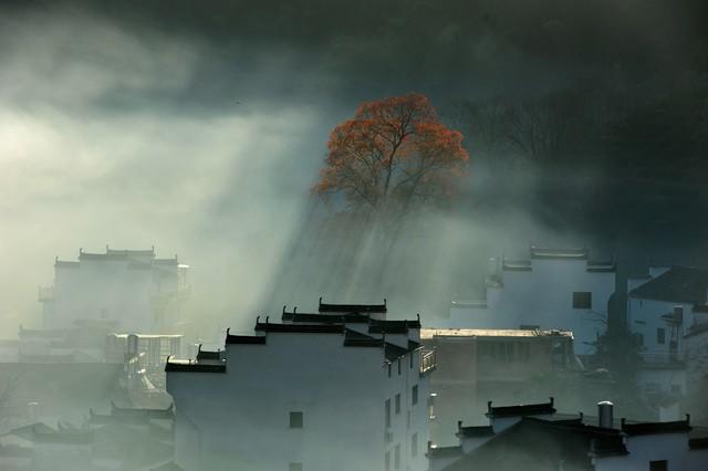 每天经典语录15条(图1)