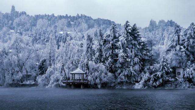 每天经典语录15条(图2)