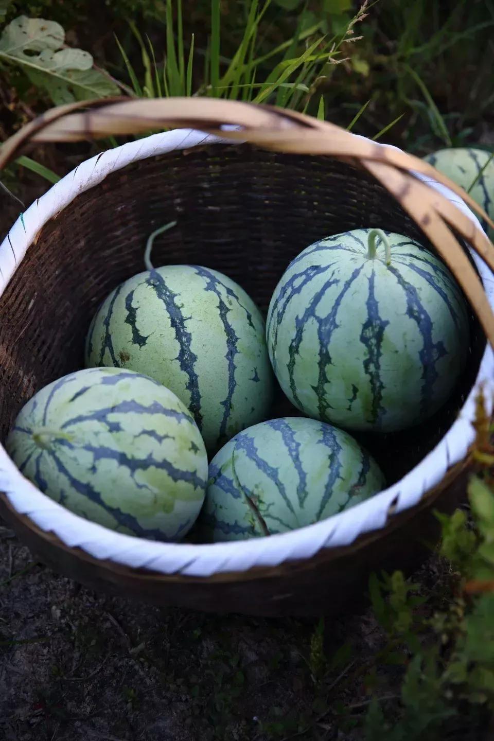 简短唯美的高考励志句子50句(图3)