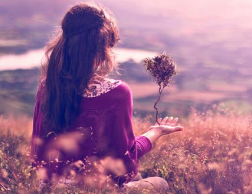 丁香花歌词短句爱情（丁香花歌词的歌词）(图1)