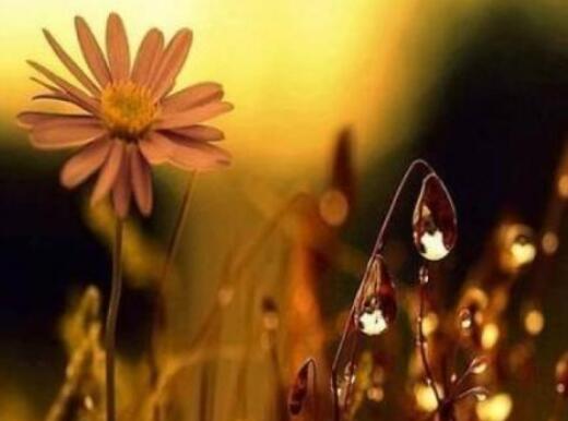 一步一步的爱情语录(我们的爱情一步一步到最后)(图1) 一步一步的爱情语录(我们的爱情一步一步到最后)(图1)