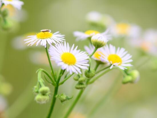 三个动词写三个短句（一个句子三个动词英语）(图1)