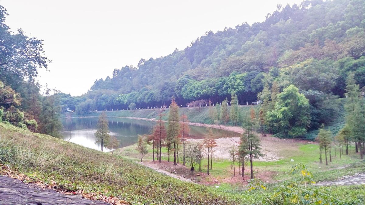 优秀教师的教育箴言精选(图2)