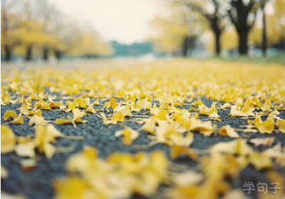 三国描写关羽的短句（描写关羽的名句古诗）(图1)