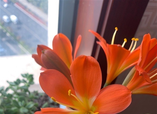 一道风景一种心情说说（一道风景一种心情说说短句）(图1)