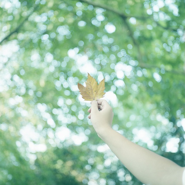 不要错过的唯美句子(图1)