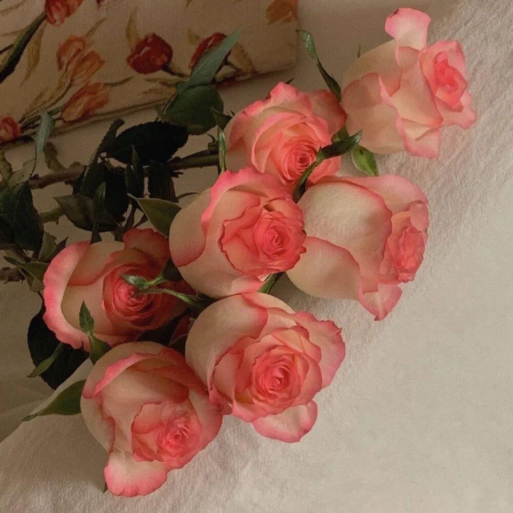 20句吸引眼球的优质文案(图2)