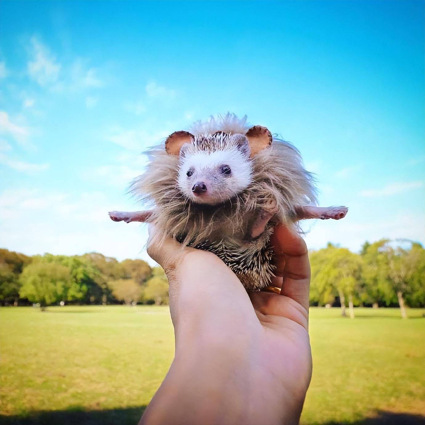 吸引人的人生哲理文案，句句经典，发人深省(图2)