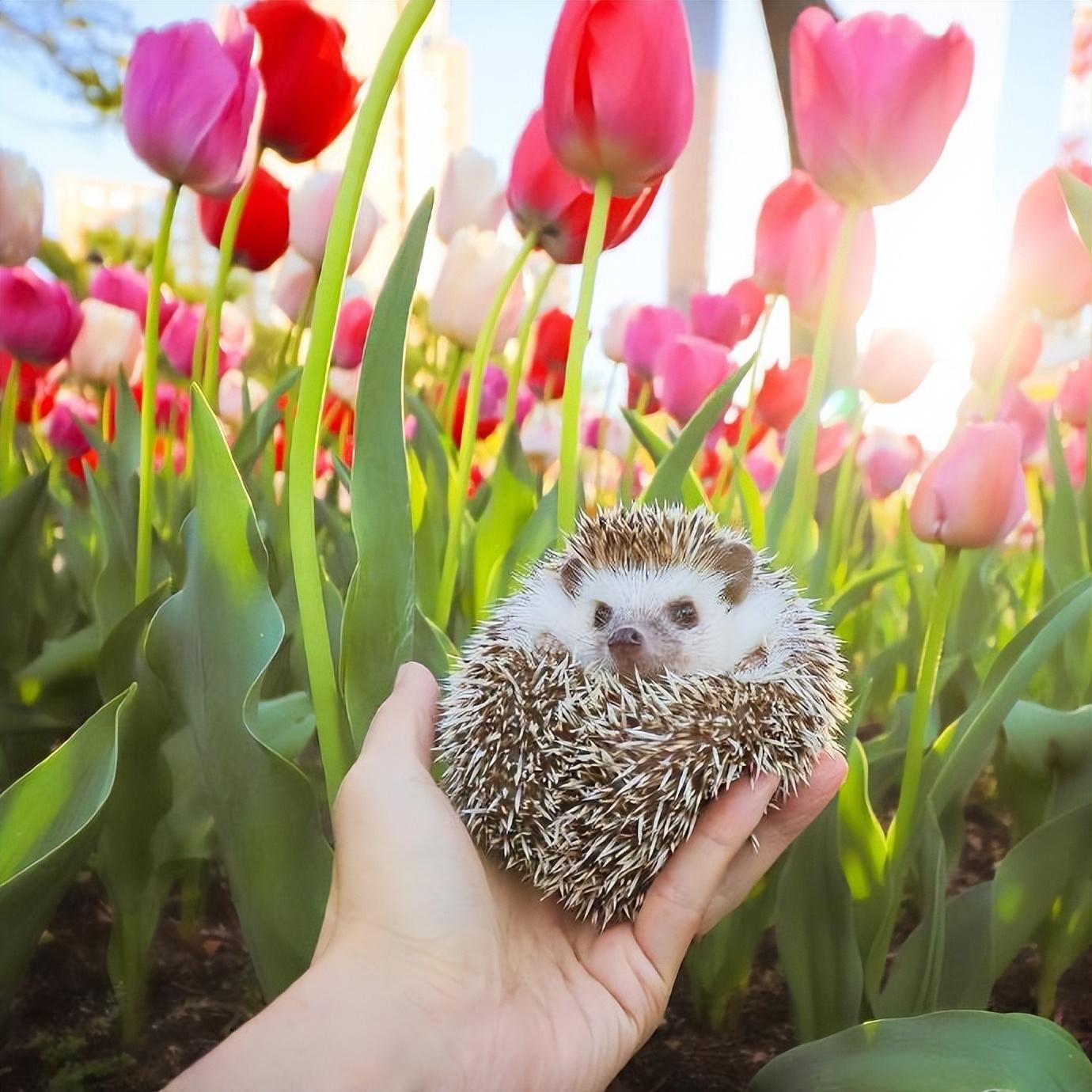 吸引人的人生哲理文案，句句经典，发人深省(图3)