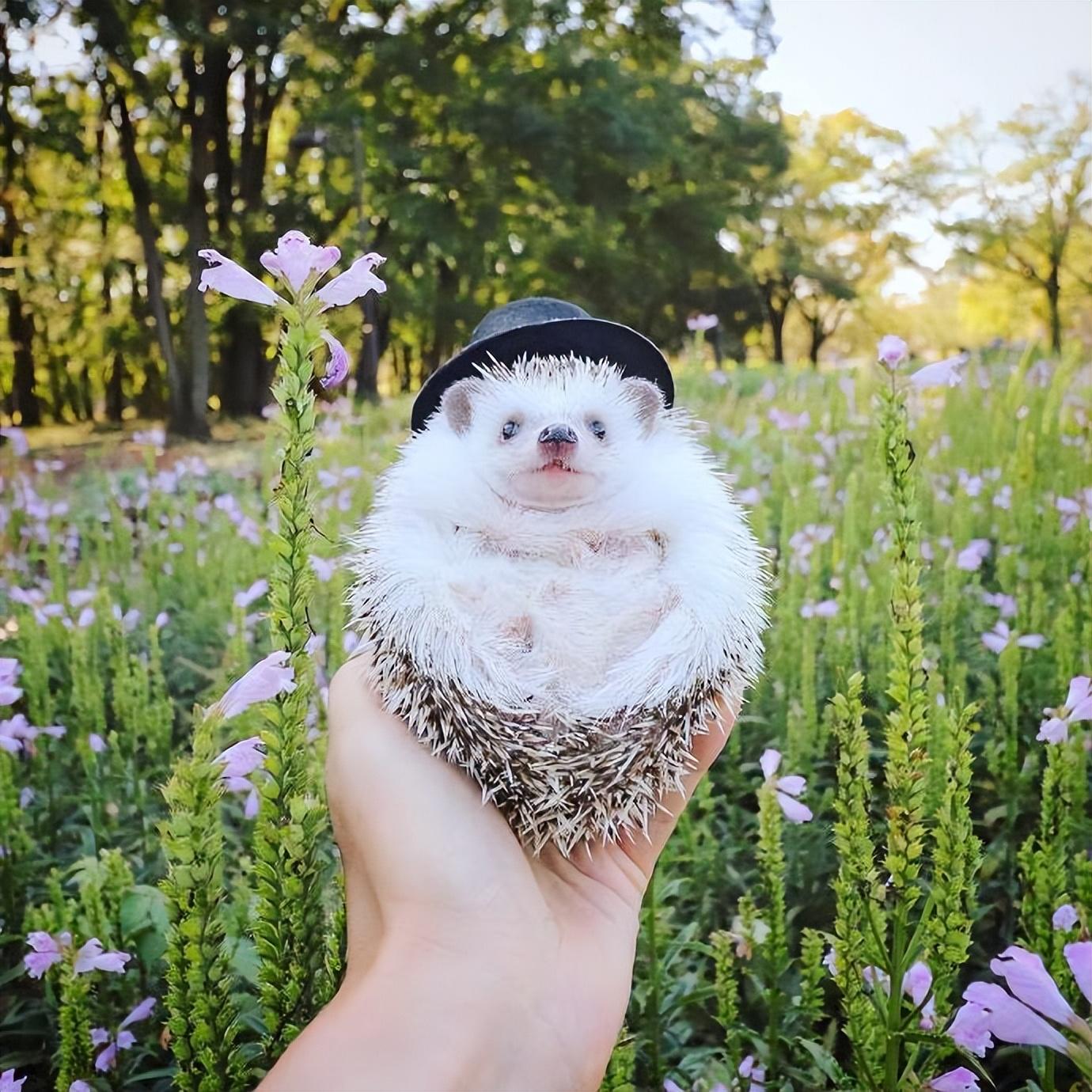 吸引人的人生哲理文案，句句经典，发人深省(图4)