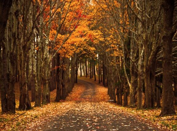 不作就不会死的名言(不作不会死的句子)(图1) 不作就不会死的名言(不作不会死的句子)(图1)