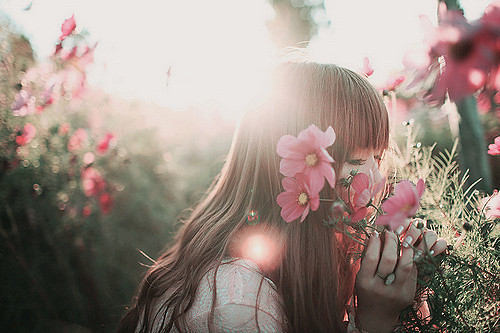 不信谣不传谣短句（不信谣不传谣下一句怎么说）(图1)