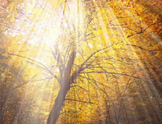 不发火的句子短句（不喜不怒的句子）