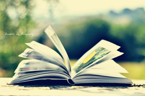 三调芭蕉扇优美句子（三借芭蕉扇优美词句）(图1)