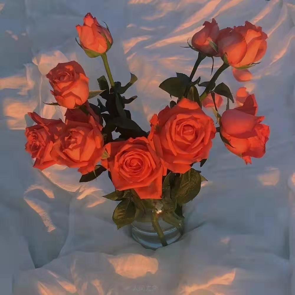 文案｜关于“我爱你”的含蓄而深情的表达(图5)