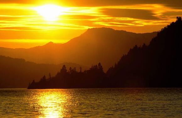 不平凡的一年唯美句子（不平凡的一天经典语句）(图1)