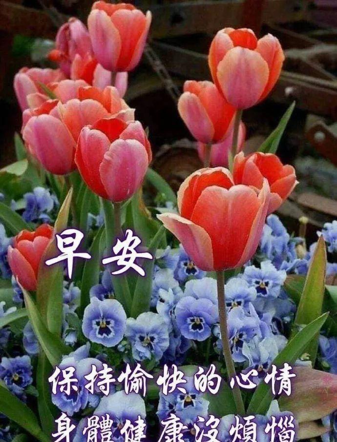 时间，带不走真正的朋友；岁月，留不住虚幻的拥有，早安(图1)