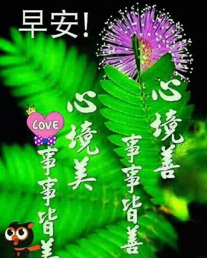 时间，带不走真正的朋友；岁月，留不住虚幻的拥有，早安(图6)