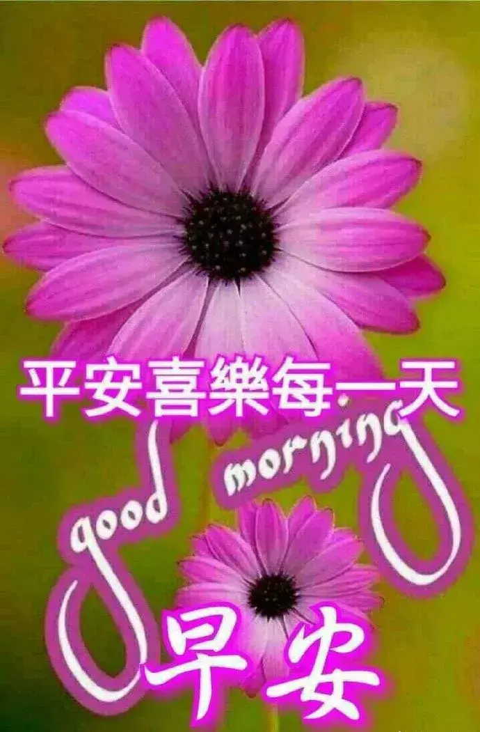 时间，带不走真正的朋友；岁月，留不住虚幻的拥有，早安(图9)