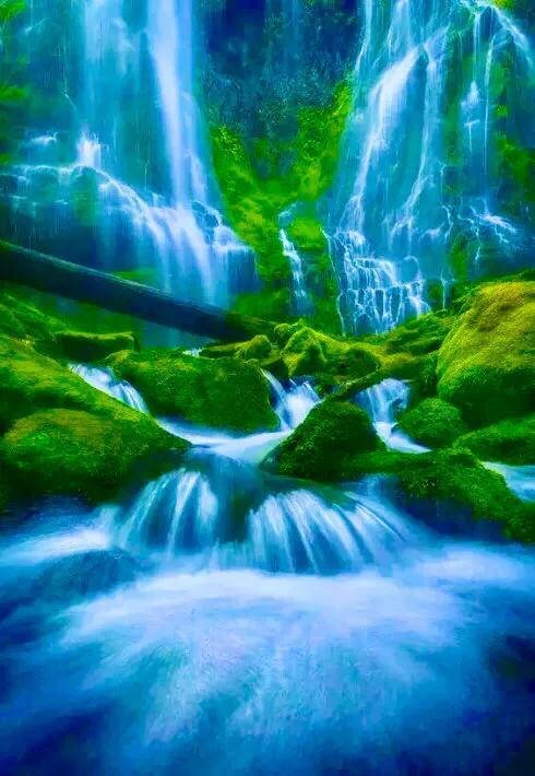 不求大富大贵，只求平安快乐，生活简约心灵多份坦然，且行且珍惜(图1)