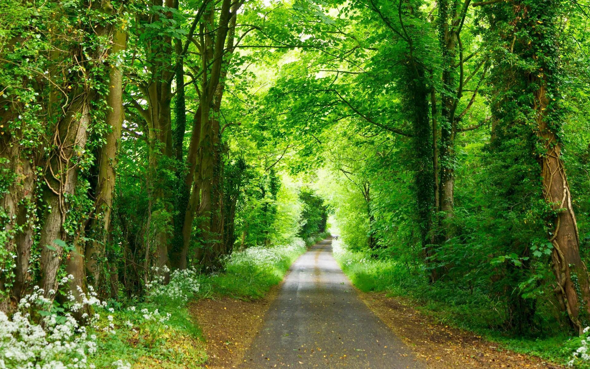 不求大富大贵，只求平安快乐，生活简约心灵多份坦然，且行且珍惜(图3)