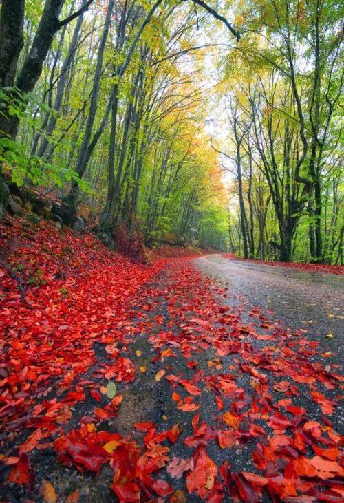 不求大富大贵，只求平安快乐，生活简约心灵多份坦然，且行且珍惜(图5)