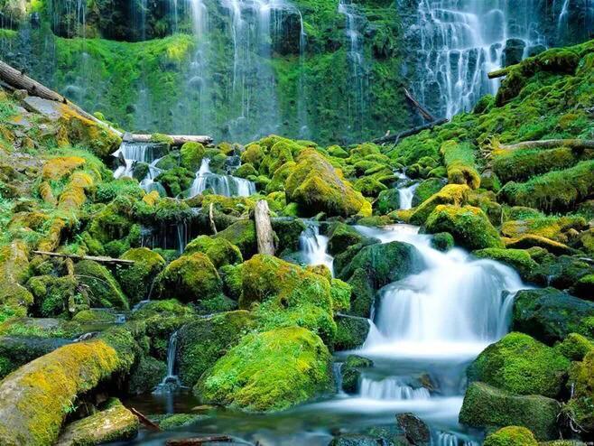 不求大富大贵，只求平安快乐，生活简约心灵多份坦然，且行且珍惜(图7)