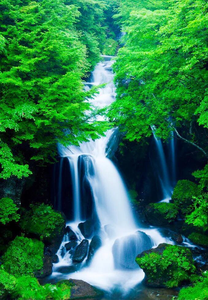 不求大富大贵，只求平安快乐，生活简约心灵多份坦然，且行且珍惜(图12)