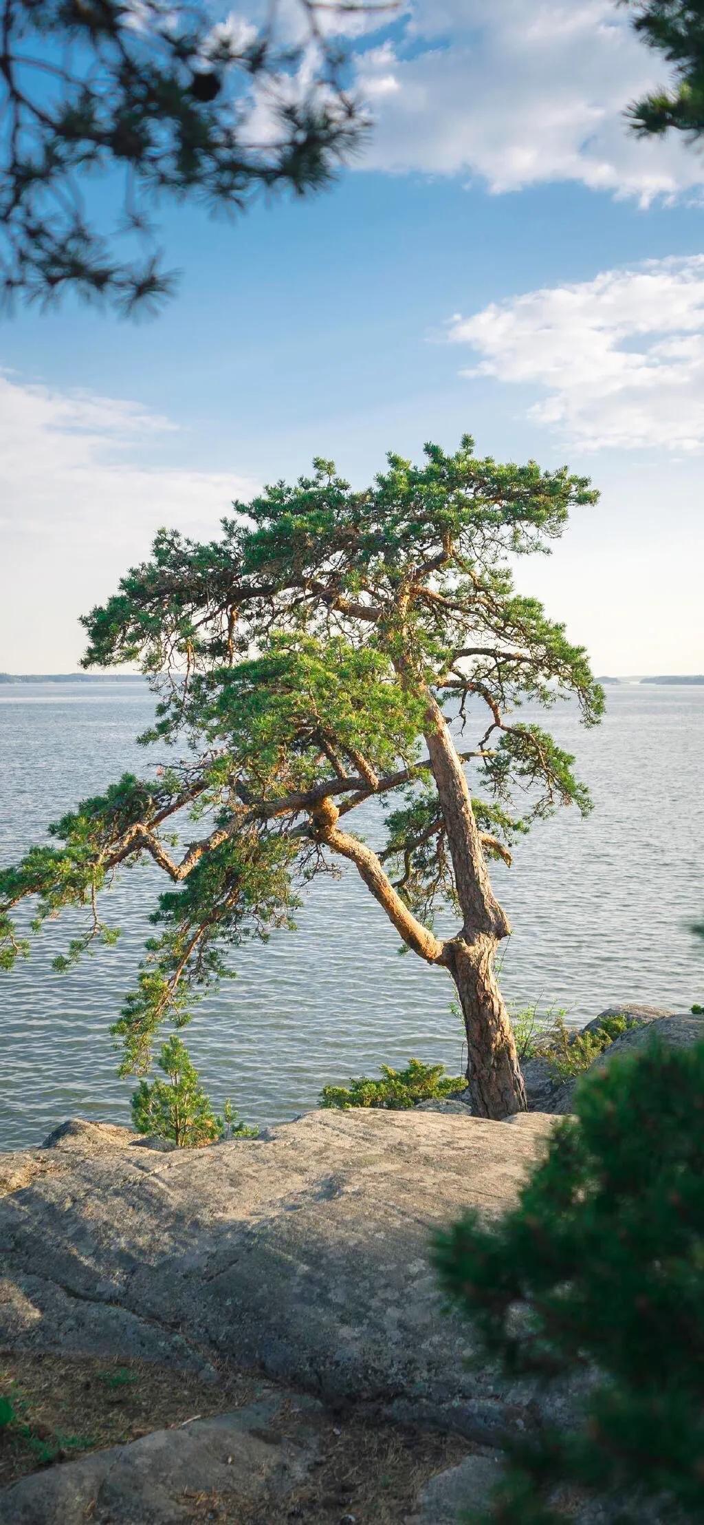 不求大富大贵，只求平安快乐，生活简约心灵多份坦然，且行且珍惜(图21)