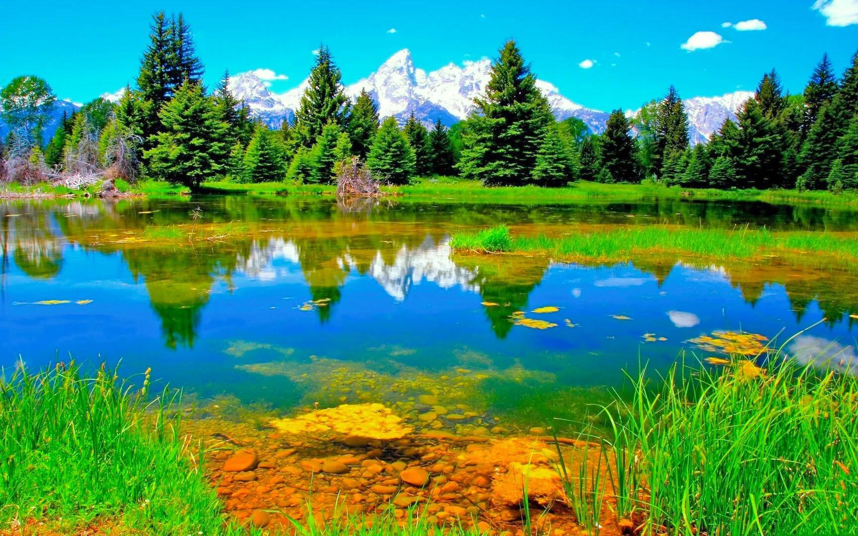 不求大富大贵，只求平安快乐，生活简约心灵多份坦然，且行且珍惜(图22)