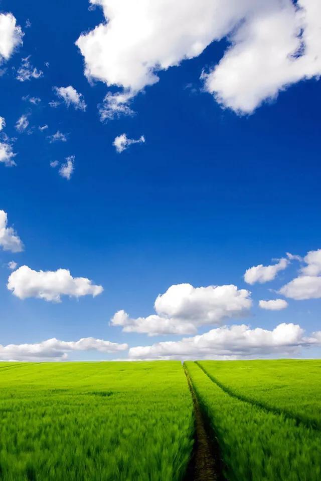 不求大富大贵，只求平安快乐，生活简约心灵多份坦然，且行且珍惜(图25)