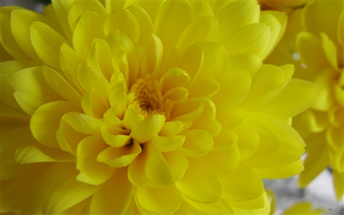 下雨过后的唯美句子（下雨过后的唯美句子）(图1)