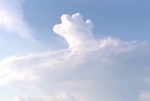 下雪了关于雪的说说（天气降温要下雪的说说）(图1)