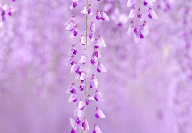 不成功便成仁的励志句子（不成功便成仁形容什么意思）(图1)