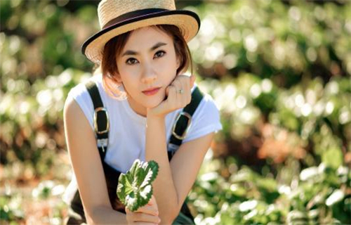 不敢问来人的名言（不敢问来人的上一句诗是什么）(图1)