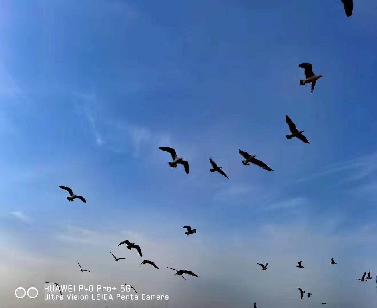 三十年，相见时难别亦难(图5)