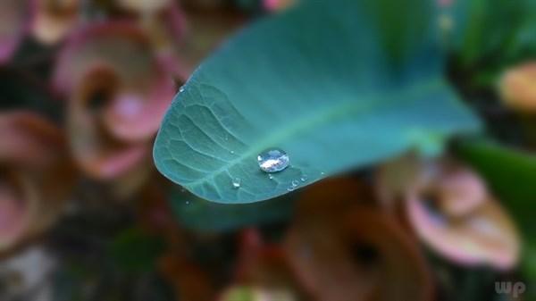 世界上最悲伤的句子，唯美伤感，让人瞬间就哭了！(图4)