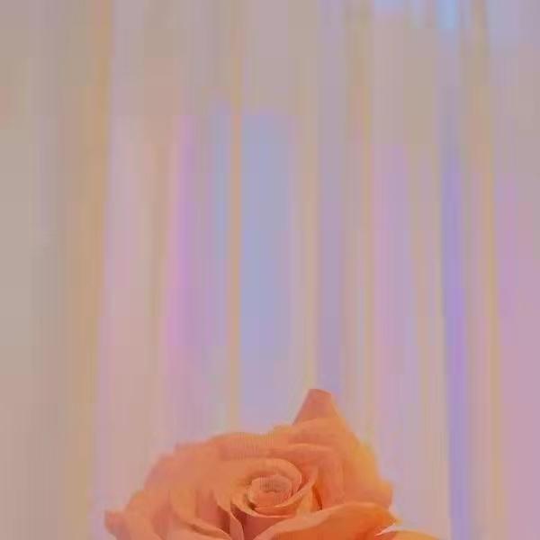 显得朋友圈更高级的文案句子(图3)