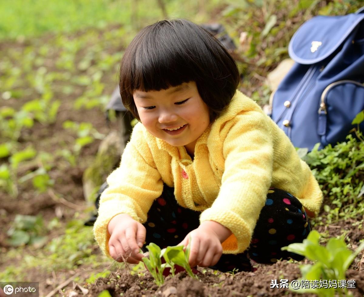 100句关于勤奋读书的名言警句，励志又增彩(图3)
