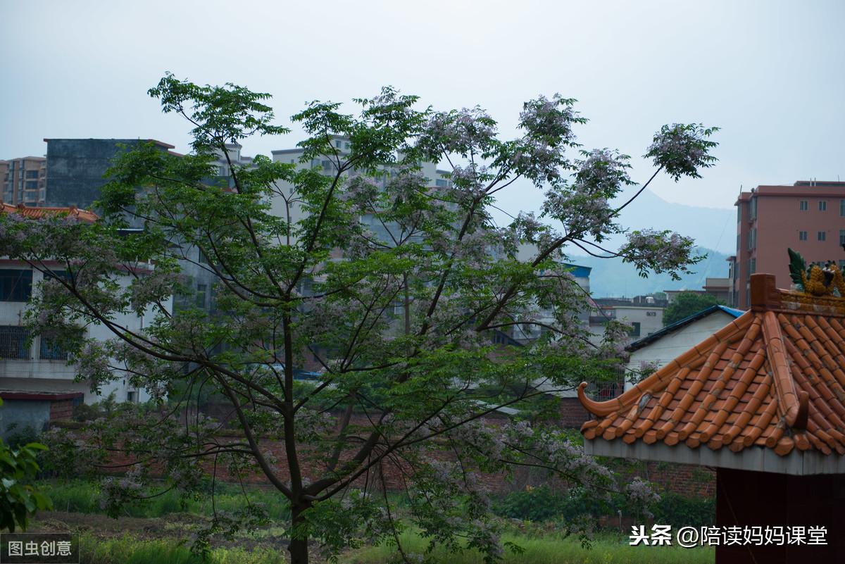 100句关于勤奋读书的名言警句，励志又增彩(图4)