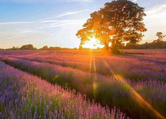 不认输的励志的句子(不认输的语录)(图1) 不认输的励志的句子(不认输的语录)(图1)