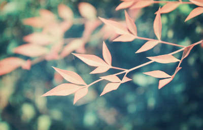 与其不如造句优美句子（用与其不如造句子）(图1)