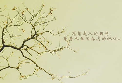 与马有关的古诗或格言(与马有关的古诗或格言有哪些呢)(图1) 与马有关的古诗或格言(与马有关的古诗或格言有哪些呢)(图1)