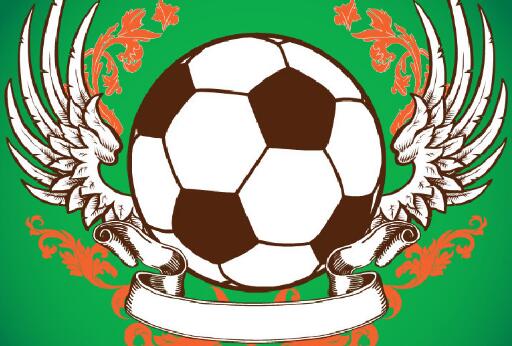 热爱足球的经典说说 关于看足球的经典说说(图1)